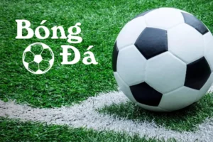 Phân Biệt Bóng Trong Cuộc Và Bóng Ngoài Cuộc Theo Luật