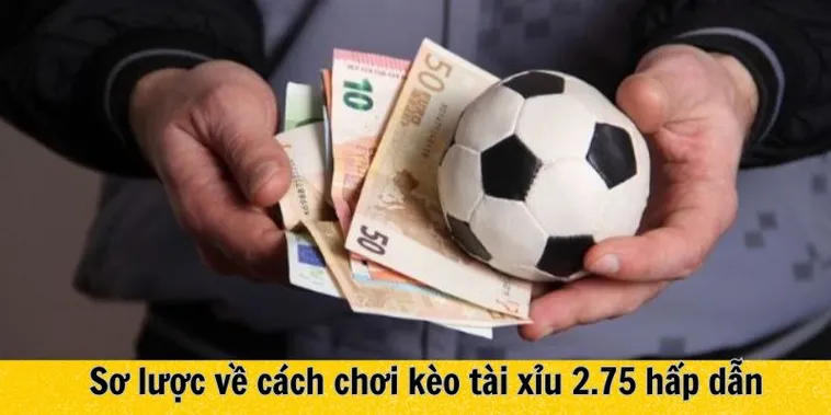 Khám Phá Cách Chơi Kèo 2.75 Tại BongDaLu Hiệu Quả Nhất 2 Khám Phá Cách Chơi Kèo 2.75 Tại BongDaLu Hiệu Quả Nhất