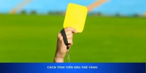 Kinh Nghiệm Vàng Về Cách Chơi Kèo Thẻ Vàng Tại BongDaLu Luôn Thắng Đậm