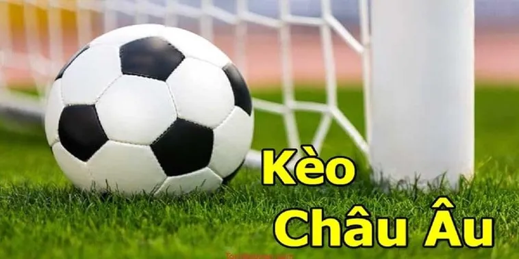 Hướng Dẫn Cách Chơi Kèo Châu Âu Tại BongDaLu Hiệu Quả Nhất Hiện Nay