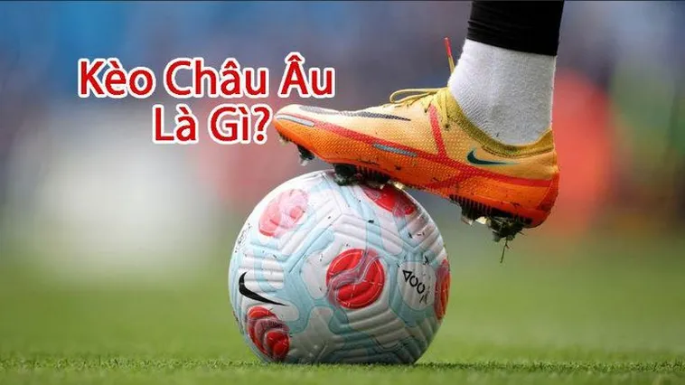 Hướng Dẫn Cách Chơi Kèo Châu Âu Tại BongDaLu Hiệu Quả Nhất Hiện Nay
