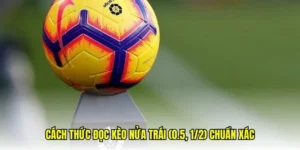 Tối Ưu Lợi Nhuận Nhanh Cách Chơi Kèo Chấp 0.5 Tại BongDaLu Chuẩn