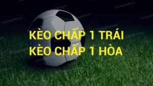 Bí Kíp Cược Cách Chơi Kèo Chấp 1 Tại BongDaLu Hiệu Quả Nhất