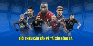Hướng Dẫn Chi Tiết Cách Chơi Kèo Tài Xỉu Bóng Đá Tại BongDaLu