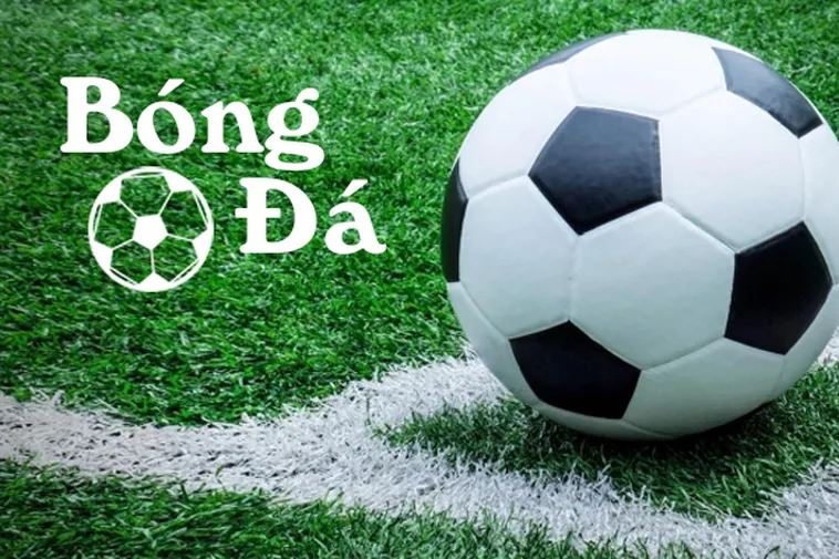 Về phía Nowgoal, đây là nền tảng mang phong cách Châu Âu với thiết kế tối giản, ít quảng cáo và màu sắc dễ chịu.
